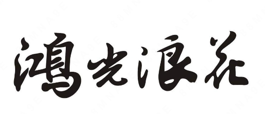 “鴻光浪花”這個(gè)老百姓常吃的豆腐品牌榮獲“中華老字號(hào)”了